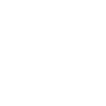 vidra b-8